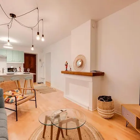 Cosy Paquier 公寓 阿讷西